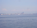 seattle in the distance.jpg